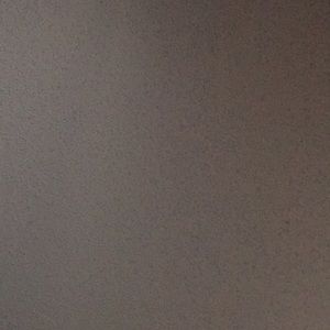 Meet your Posher, Ivory